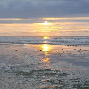 Meet your Posher, Robyn